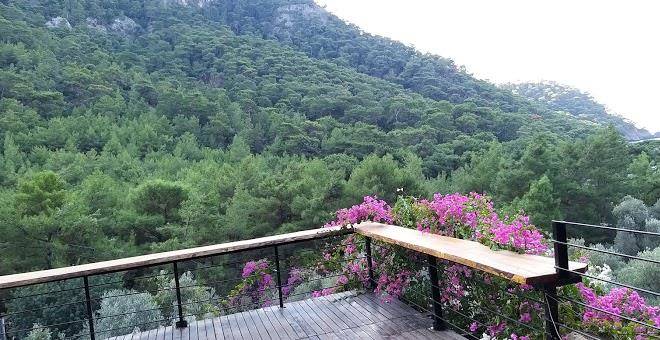 Kabak natural life