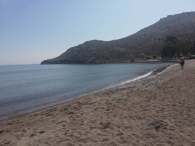 Karaincir parilti