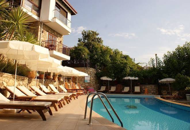 Lazy lizard boutique hotel