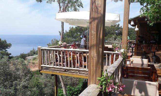 Olive garden kabak