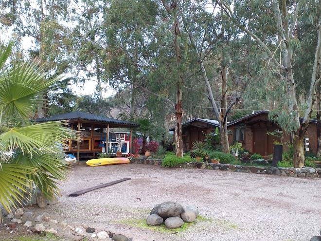 Orhaniye Incir Image