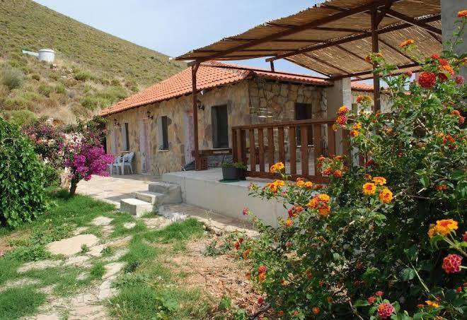 Sardunya pansiyon