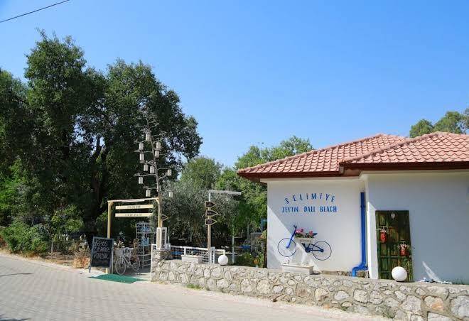 Zeytin dali butik otel