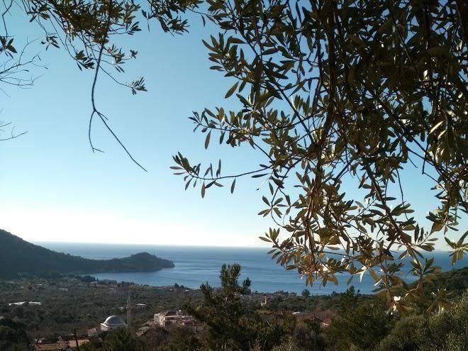 Zeytin park otel