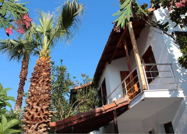 Turtle beach hotel