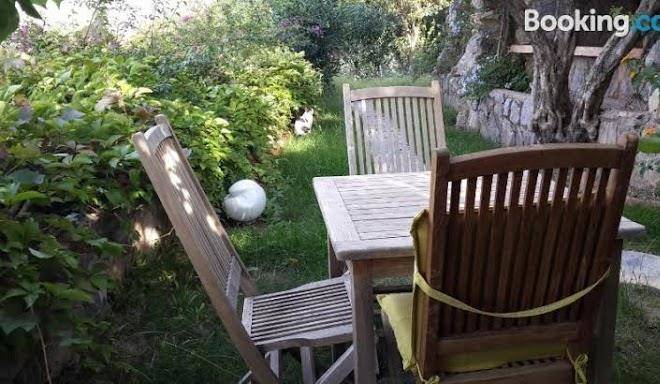Antik zeytin otel