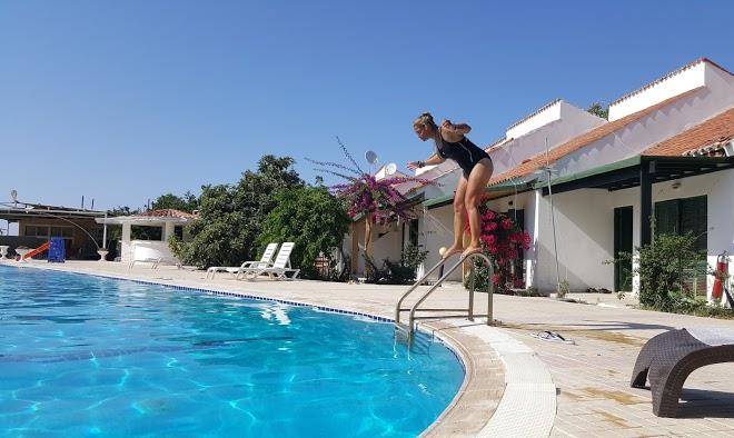 Primary tatil koyu
