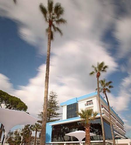 Arkin palm beach