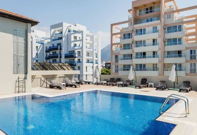 Olivia palm hotel