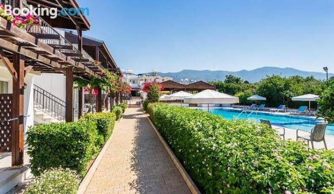 Citrus tree resorts