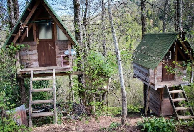 Ekodanitap Natural Life Image