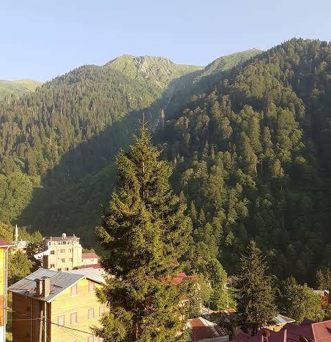Fora pansiyon