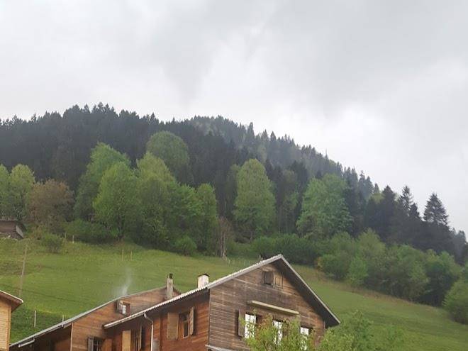 Goboca dag evi