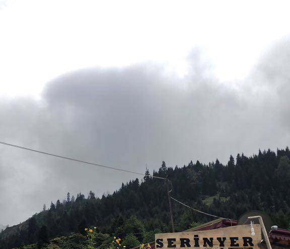 Serinyer dagevi