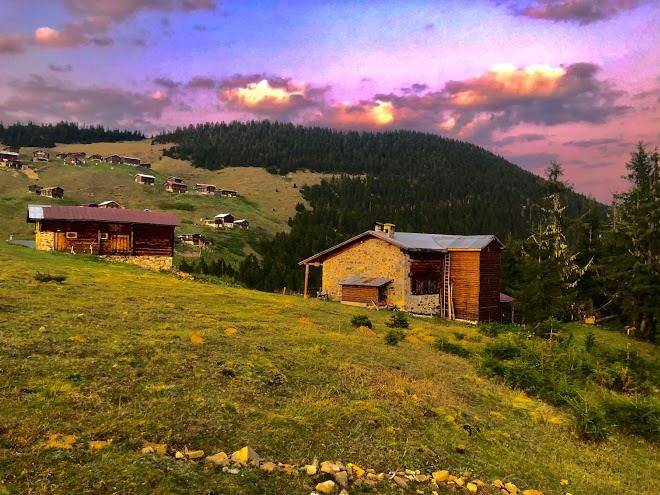 Tanevit dag evi