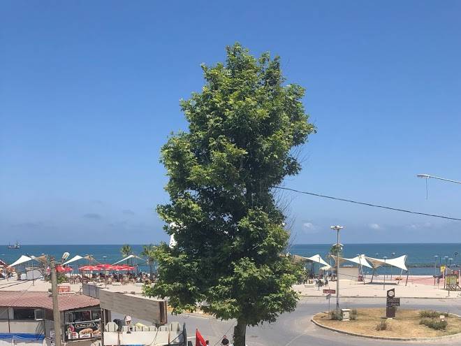 Topaloglu pansiyon