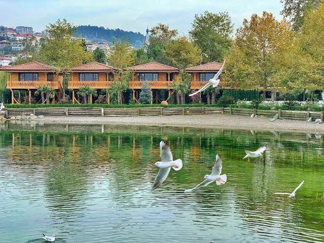 Sasa hotel & restaurants