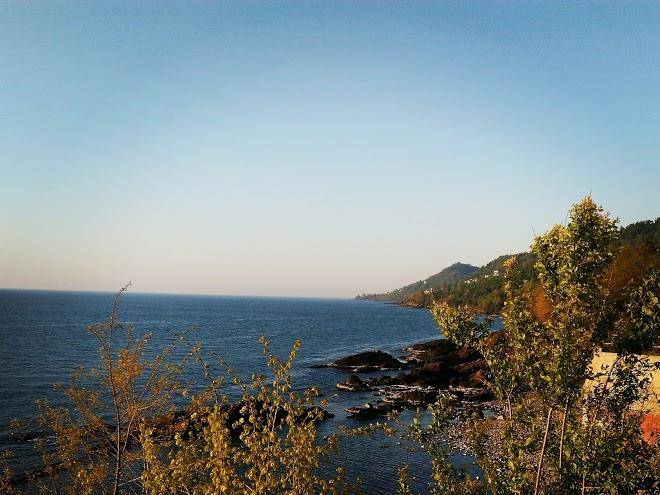 Buyar hotel