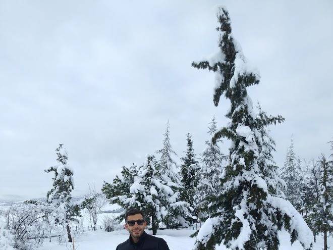 Gumuspark Resort Hotel Image