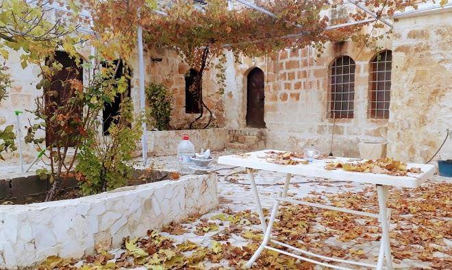 Homestay halfeti firat pansiyon