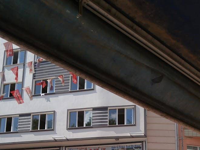 Otel gonul