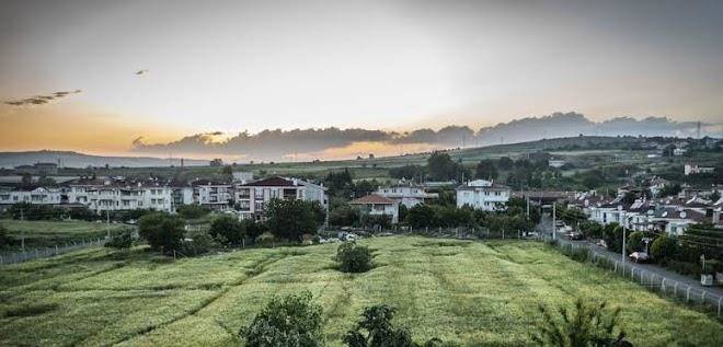 Novaport Hotel Cafe Beach Image