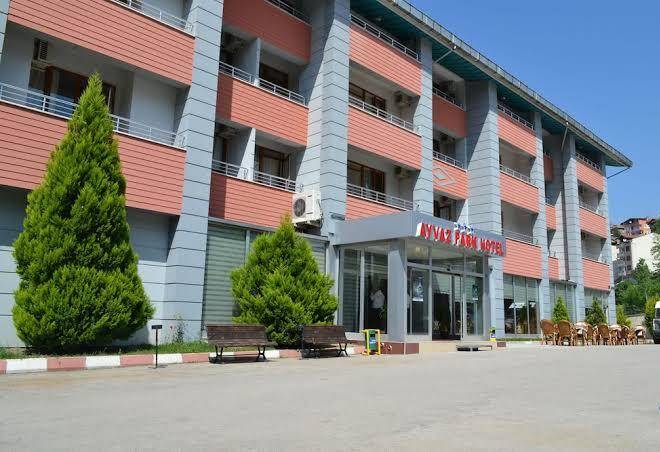 Ayvaz park hotel