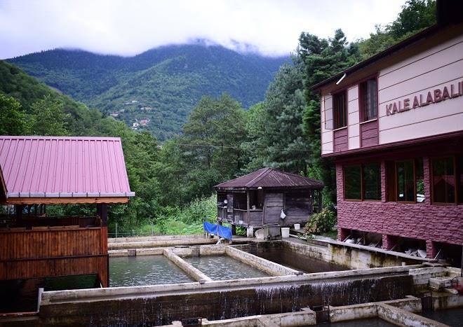 Isikli kale otel
