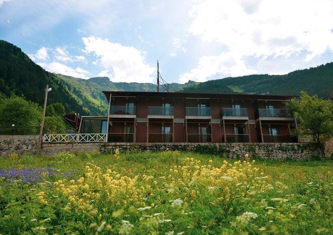 Monoir suite
