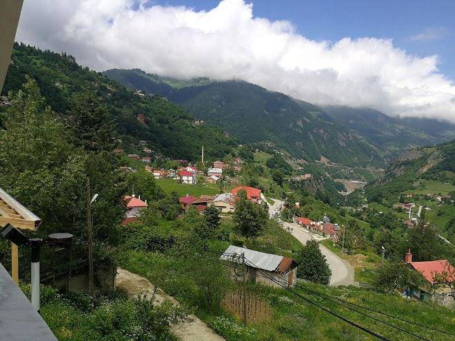 Hamsikoyotel