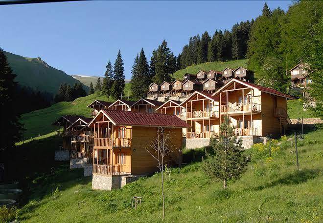 Zitas otel zigana yayla tatil koyu