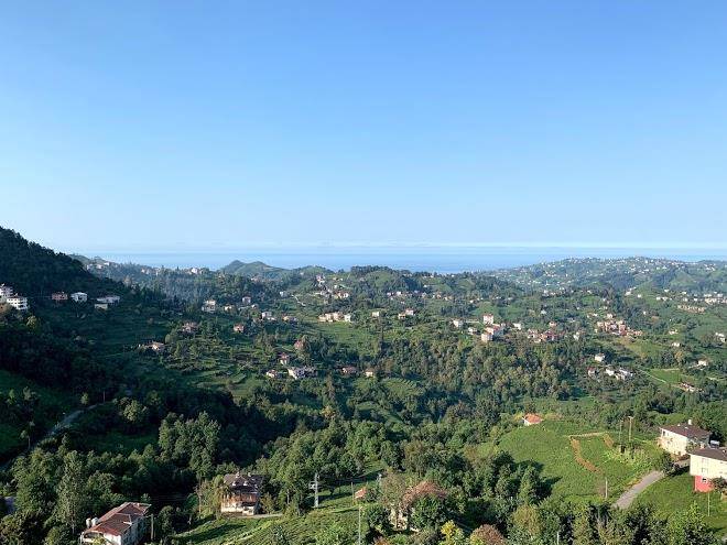 Hasdikoz abdik hotel