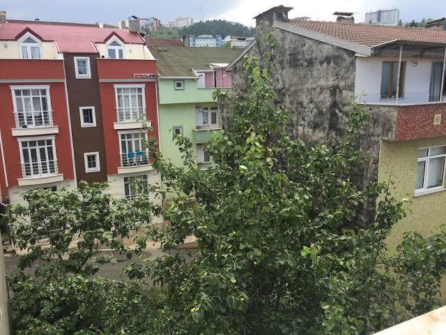 Mavi beyaz i