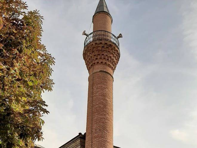 Otel agaoglu