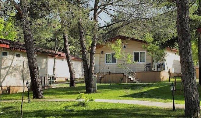 Rizom tatil koyu