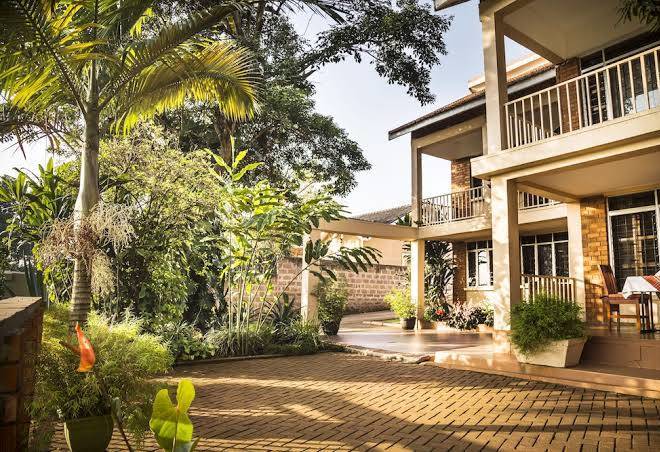 Papaya holiday home