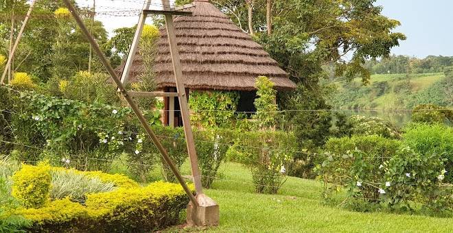 Nile nest