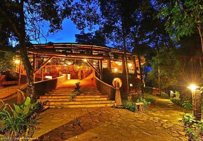 The rainforest lodge