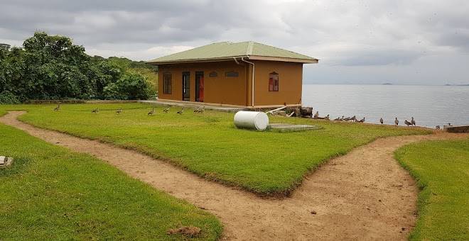 Pineapple bay