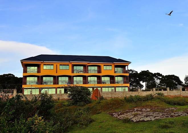4 penguins hotel