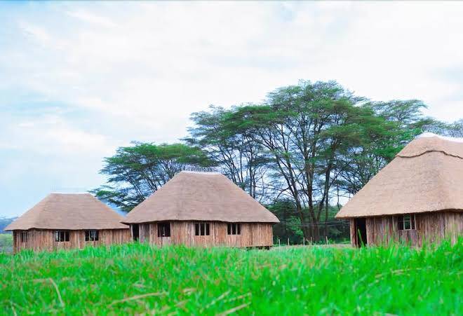 Forever eco resort