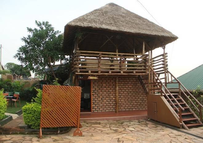 Gorilla's Nest Entebbe Gorillaz Nest Image