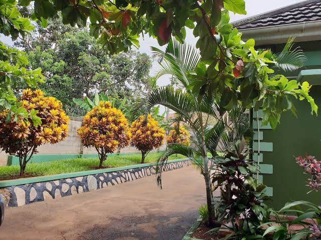 Anna's place entebbe
