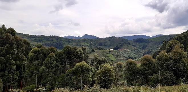 Ecomarvels gorilla resort bwindi