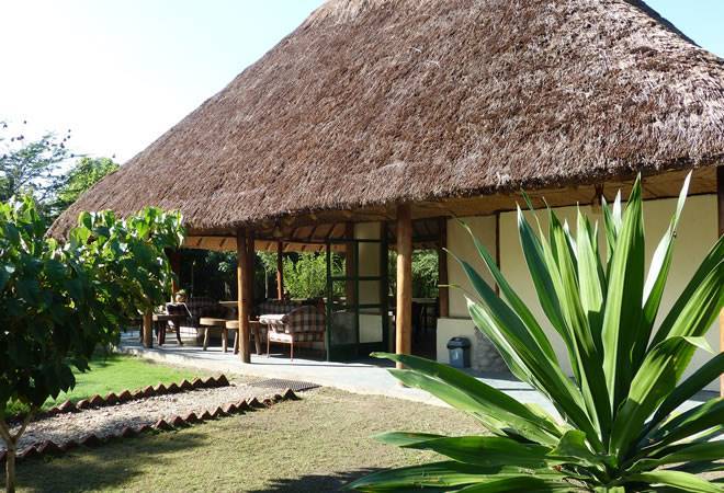 Ishasha jungle lodge