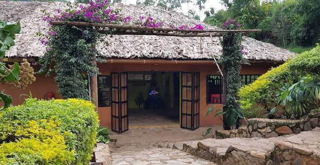 Mahogany springs lodge