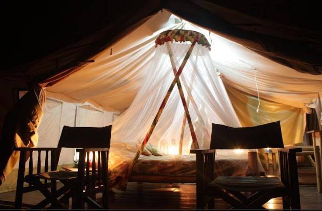 The Gorilla Resort Image