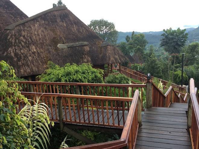Trackers safari lodge
