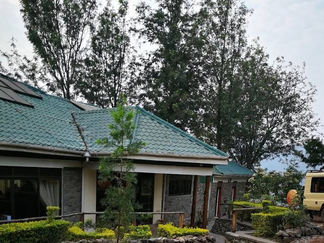 Bwindi jungle lodge