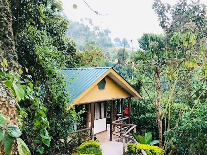 Gorilla safari lodge bwindi